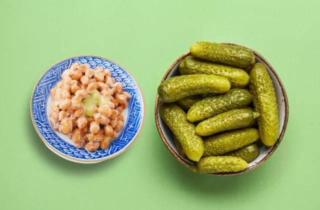 Alimentos fermentados: Saúde e bem-estar através do equilíbrio do microbioma | Dieta e Dicas