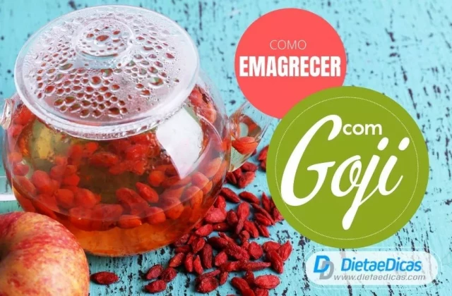 Goji berry benefícios, vitaminas e como consumir | Dieta e Dicas