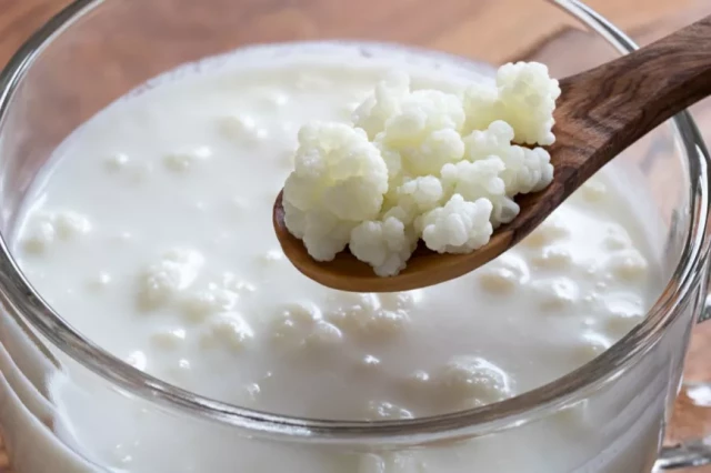 kefir probióticos, como fazer iogurte de kefir, como fazer kefir, como fazer kefir de leite, kefir benefícios