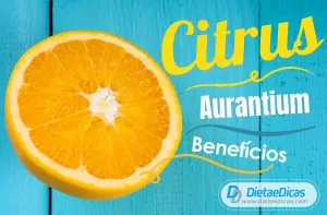 Citrus Aurantium: o que é