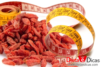goji berry emagrece, goji berry benefícios, goji berry para que serve, goji berry vitaminas, goji berry cápsulas, goji berry onde comprar, goji berry como usar Ilustração de goji berry emagrece, goji berry benefícios, goji berry para que serve, goji berry vitaminas, goji berry cápsulas, goji berry onde comprar, goji berry como usar
