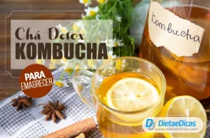 Kombucha: Chá detox para emagrecer, benefícios e contra-indicações